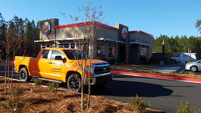 burger king surveying